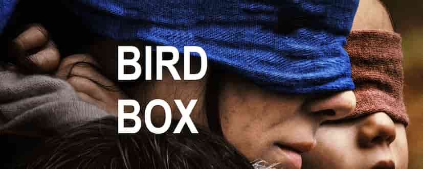 Bird Box movie wallpaper Sandra Bullock in blue blindfold and a child in red blindfold