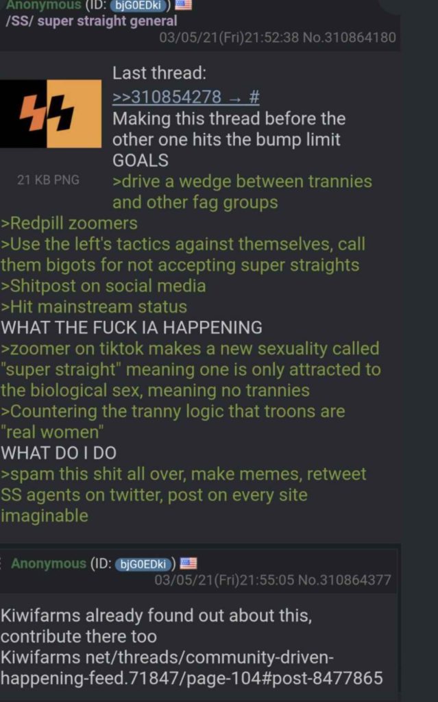 4chan screenshot greentext super straight viral meme spread social media
