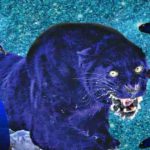 blue animals and insects