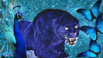 blue animals and insects